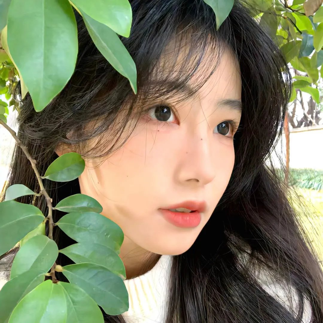 小维娜